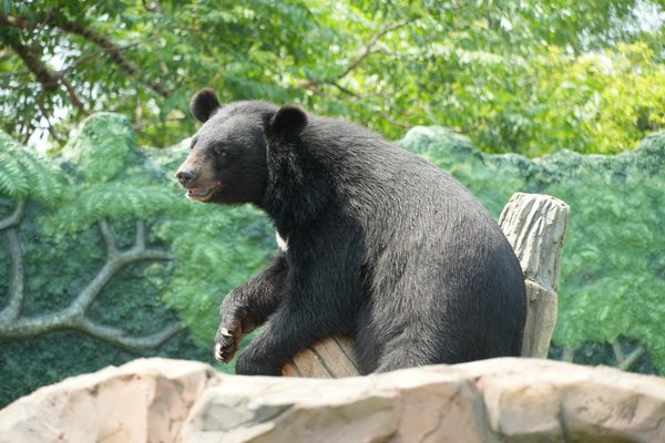 Injustice LGBTQ+ et Droits Humains : Une Lutte Pour l'Égalité
